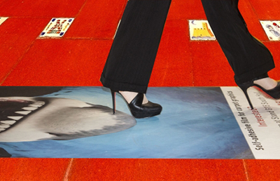 WrapTheCarpet ASLAN DFP 49